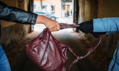 В Дзержинске серийный вор напал на женщину и украл у неё сумку